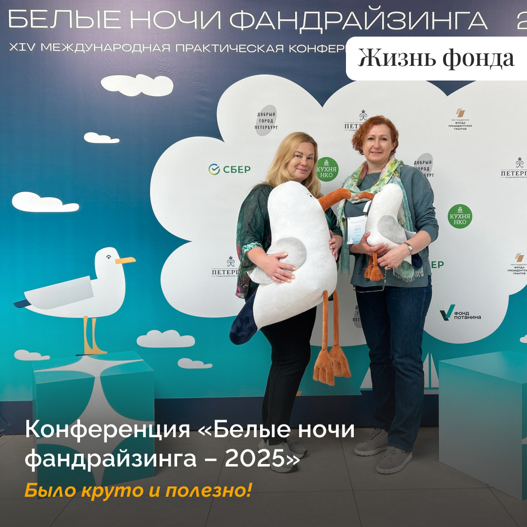 Белые ночи фандрайзинга в Петергофе
