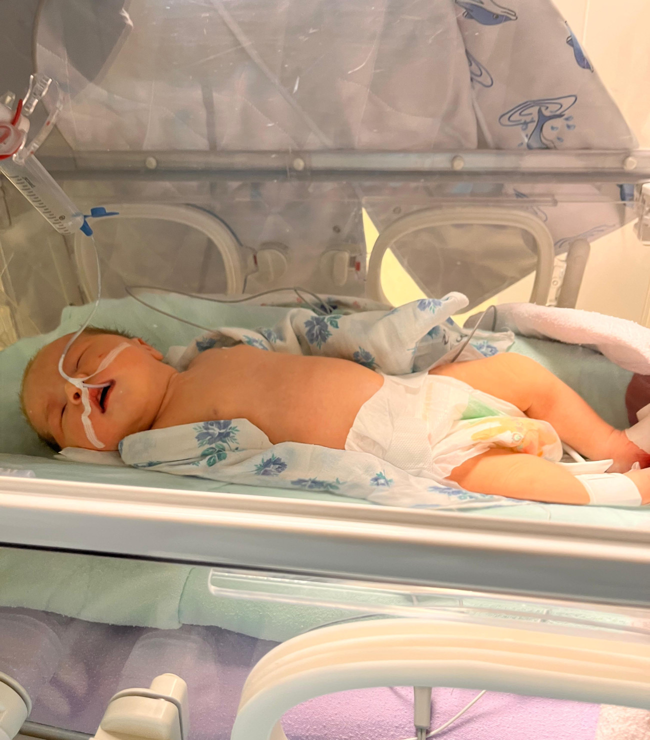 Анна Захарова